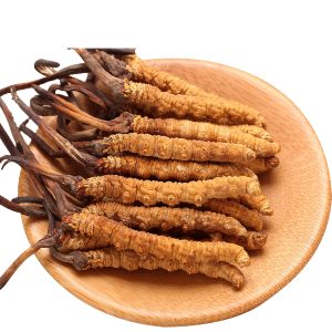 Alternative view of Đông Trùng Hạ Thảo Khô Nguyên Con