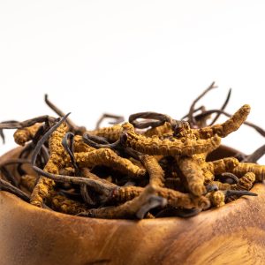 Đông Trùng Hạ Thảo Khô Nguyên Con