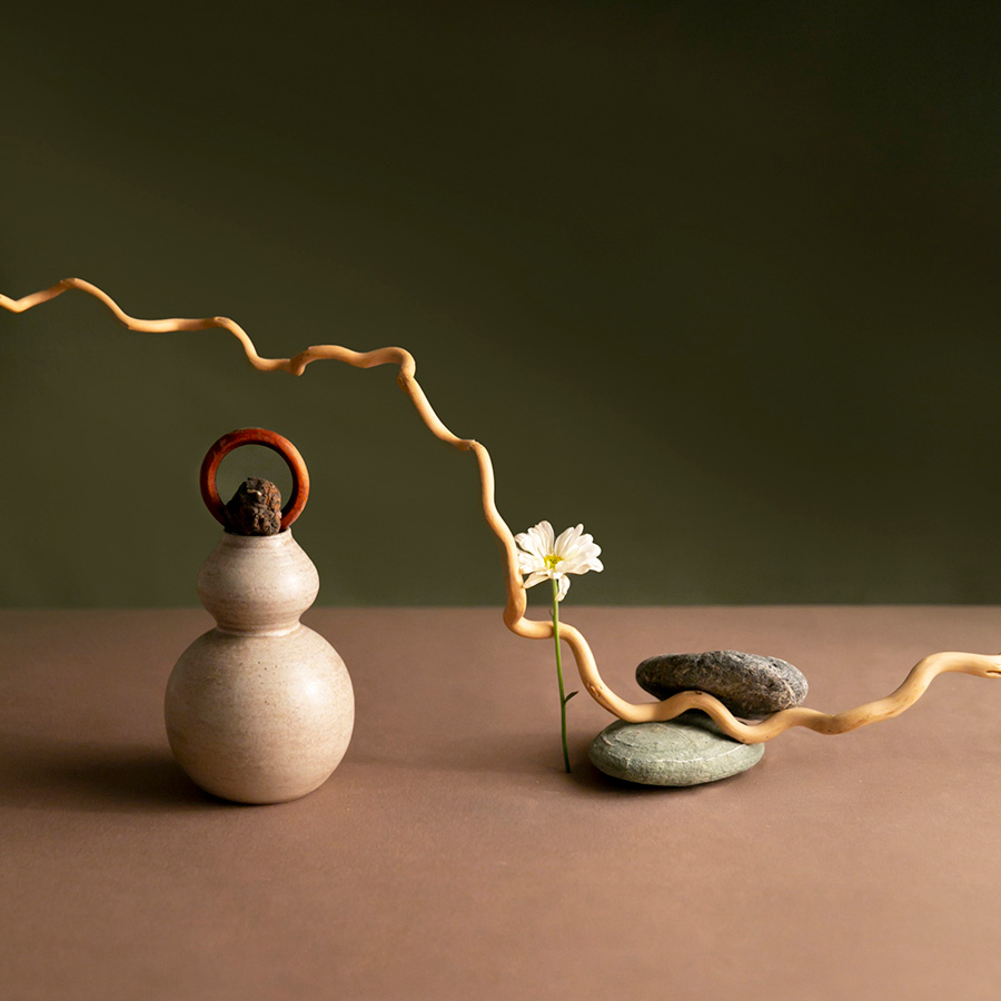 Tiểu lọ lục bình